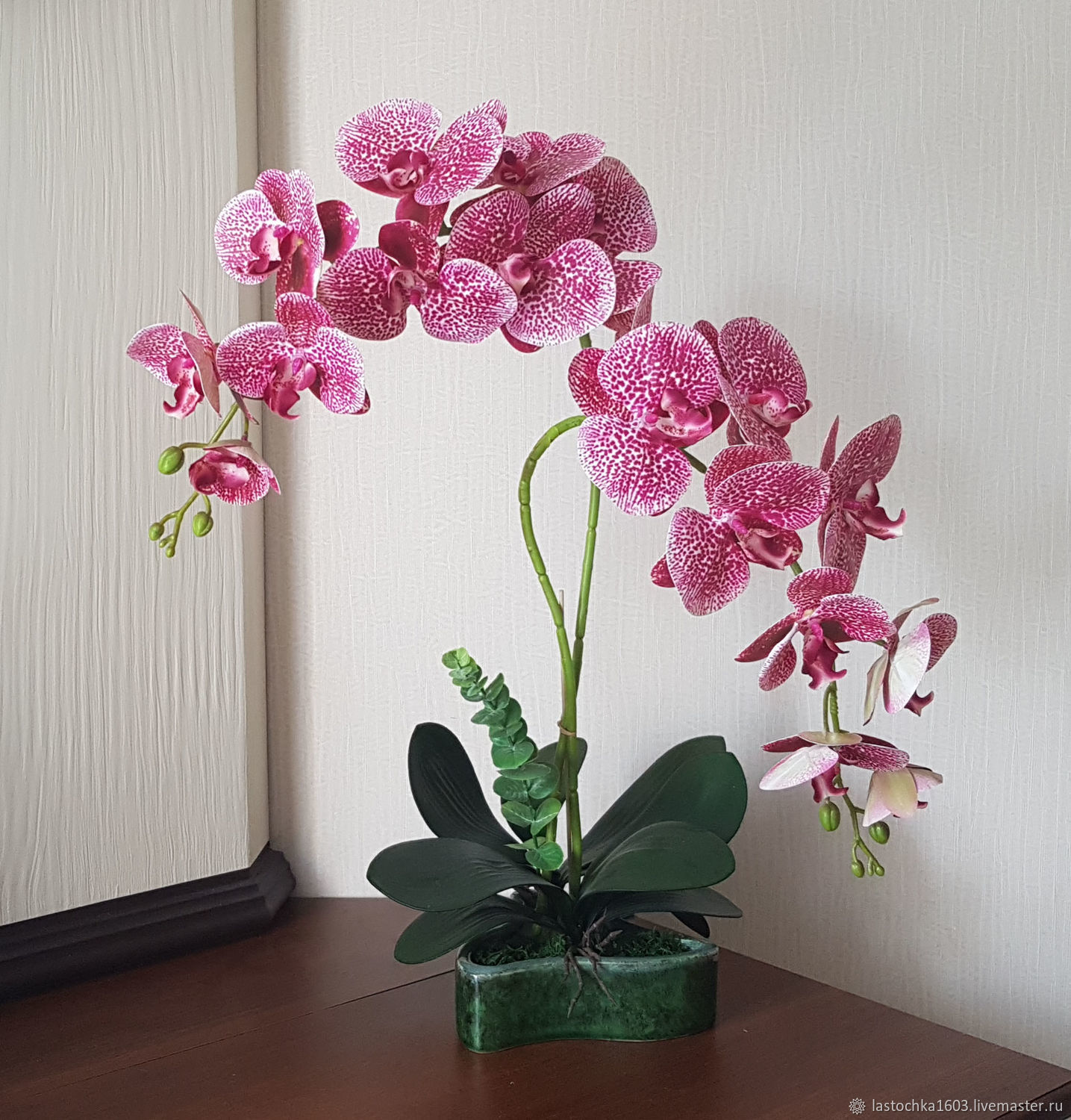 Где Купить В Челябинске Орхидею
