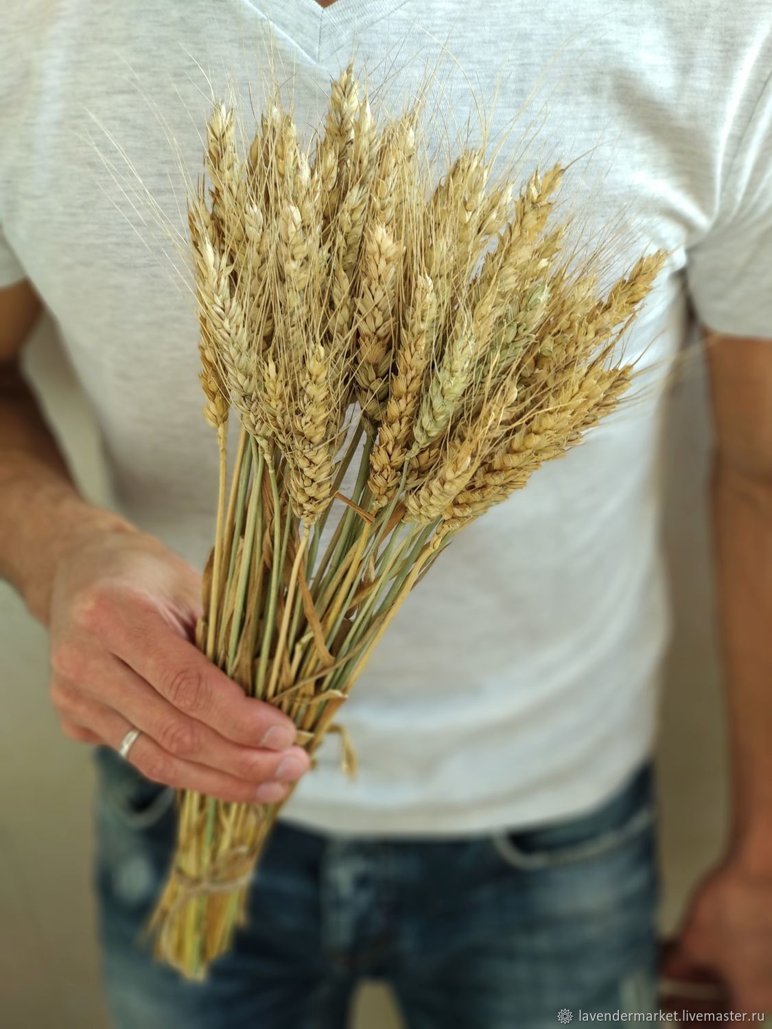 Где Купить Пшеницу В Спб