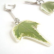 Украшения handmade. Livemaster - original item Earrings Asymmetry with Real Ivy Leaves Rhodium Green Leaf. Handmade.