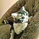 Котенок . Котик . Кот, Мягкие игрушки, Барановичи,  Фото №1
