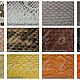 Клатч из кожи питона ODDY. Клатчи. Экзотик-мастерская Python Fashion. Интернет-магазин Ярмарка Мастеров.  Фото №2