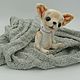 Dog toy Teddy. Chihuahua. Stuffed Toys. Anastasia Besedina (xxx555vvv444). My Livemaster. Фото №4