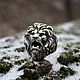 Men's lion ring 925 silver. Rings. smirnov-2. Online shopping on My Livemaster.  Фото №2