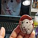 Order  Pendant with a lacquer miniature Rat 2. Olesy Losygina. Livemaster. . Pendant Фото №3