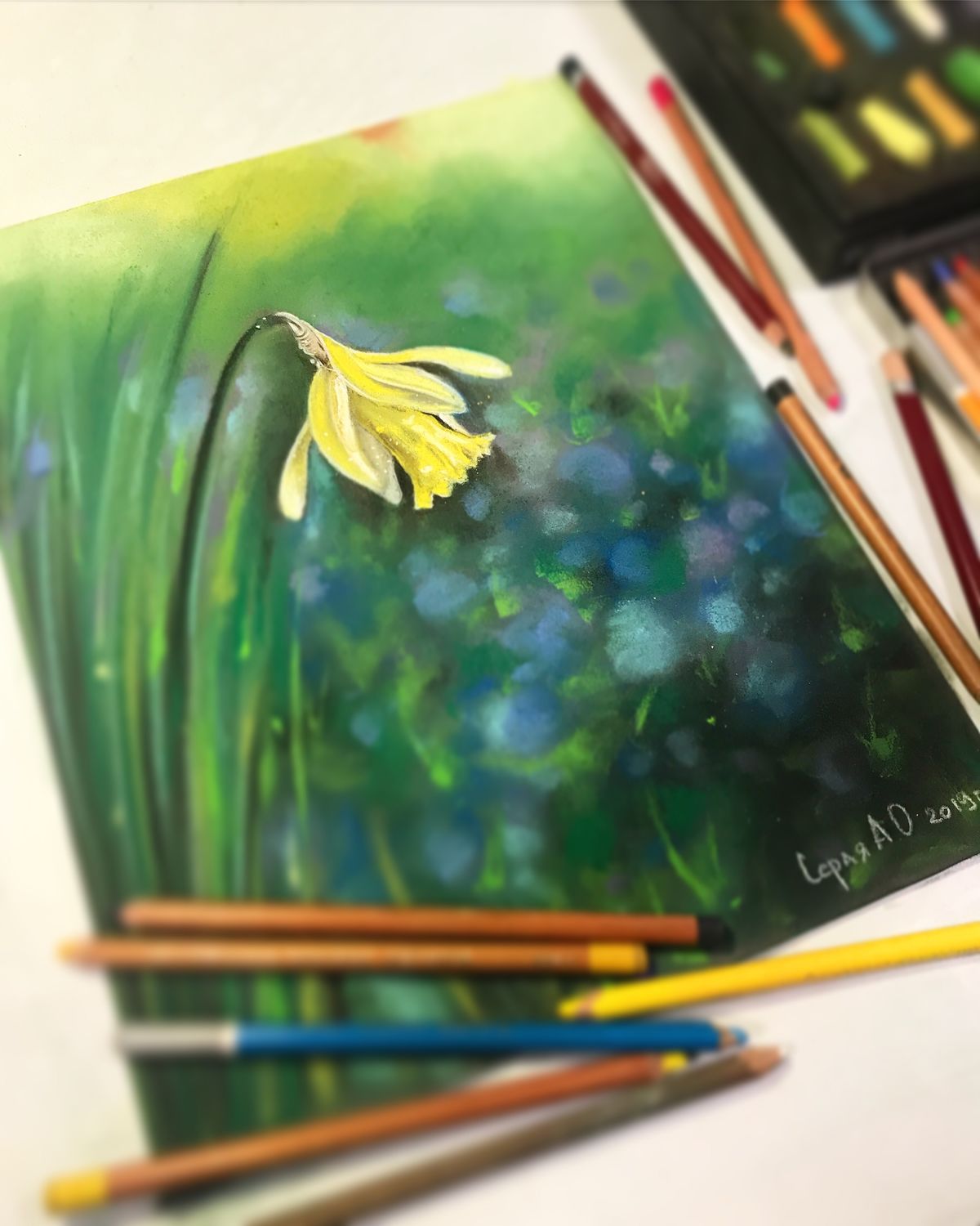 Картина пастелью "Нарцисс на поляне" купить в интернет-магазине Ярмарка ...
