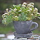 Taza de maceta de hormigón con bandeja para flores y decoración. Pots. Decor concrete Azov Garden. Ярмарка Мастеров.  Фото №5