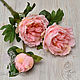 Заказать Пион садовый (3 головы). SM-Floristic (искусственные цветы) (sm-floristic). Ярмарка Мастеров. . Цветы искусственные Фото №3
