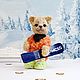 Кот-сноубордист. Мягкие игрушки. Чудный сад. Интернет-магазин Ярмарка Мастеров.  Фото №2