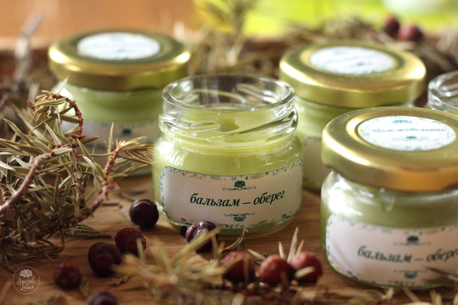 можжевельник обыкновенный лекарственные препараты. можжевельник обыкновенный препараты. гидролат сосны. можжевельник в парфюмерии. черный можжевельник парфюм.