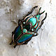Brooch-pin: ' Goliath ' beetle, insect, modern, Brooches, Vladimir,  Фото №1