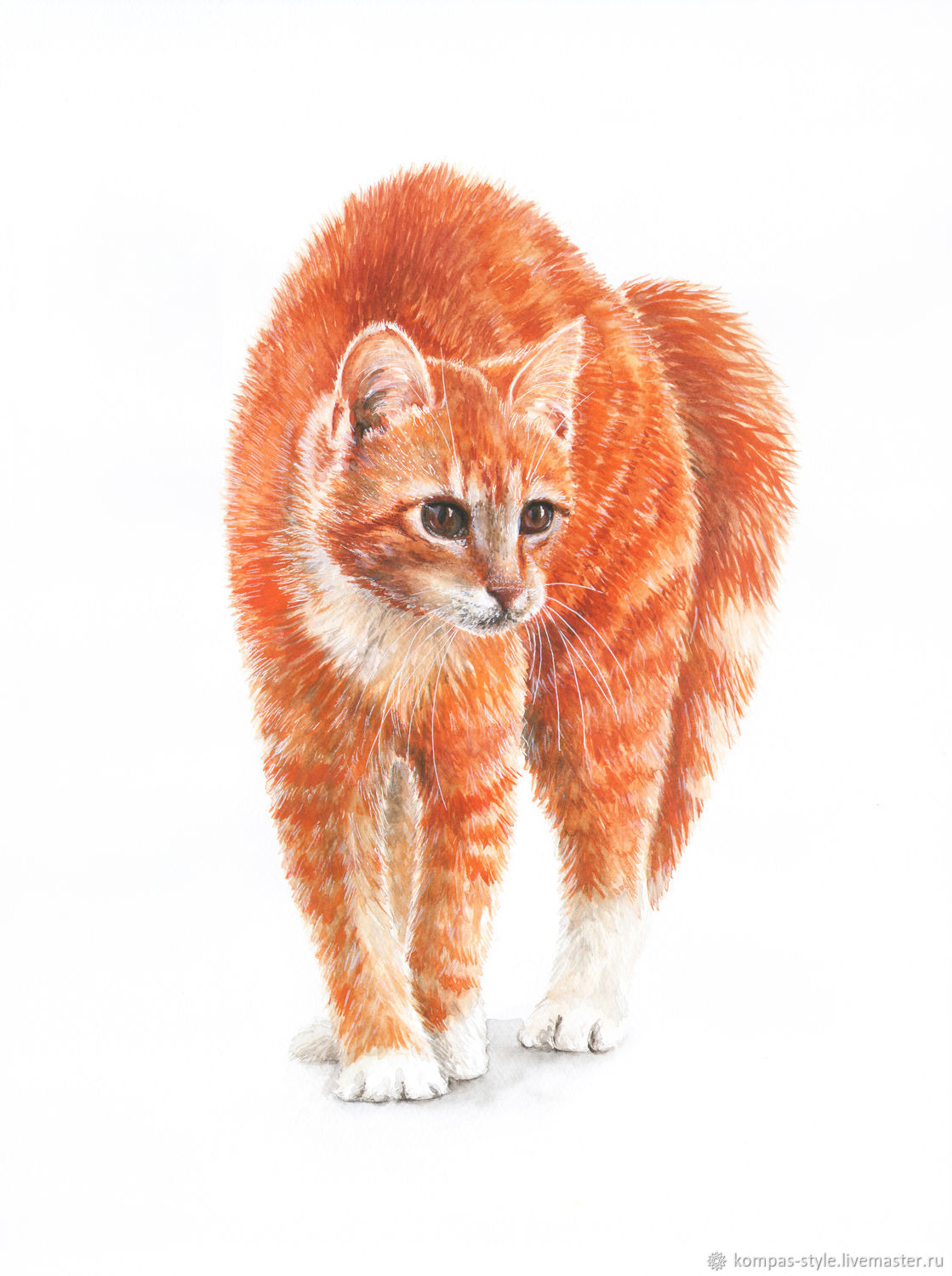 Рыжий кот акварелью