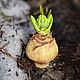 Brooch-bulb 'Hyacinth'. Pendants. Secret Jar. My Livemaster. Фото №4