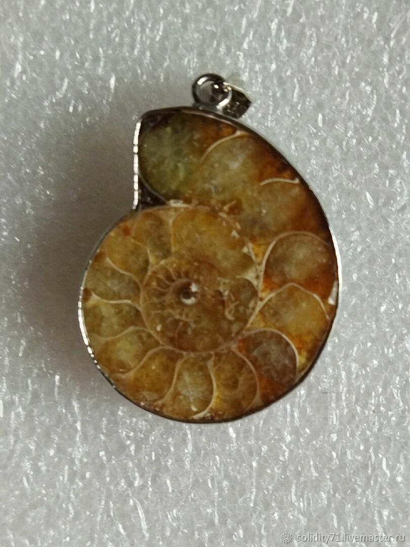 Аммониты. Подвески купить в интернет-магазине Ярмарка Мастеров по цене ...