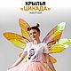 Carnival wings 'Cicada yellow', Cosplay costumes, Krasnodar,  Фото №1