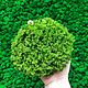 The moss hummock of moss stable (1 kg) from the manufacturer, Materials for floristry, Belgorod,  Фото №1