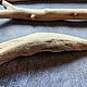 Дрифтвуд дерево для творчества, 3шт. 40-25 см. Природные материалы. DriftWood Sochi (Дрифтвуд). Ярмарка Мастеров.  Фото №4