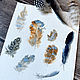 'Circling, circling' watercolor (feathers, macro, minimalism), Pictures, Korsakov,  Фото №1