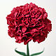Carnation Chabot.Carnation Burgundy,white. Polymer clay.Modeling, Flowers, Vologda,  Фото №1