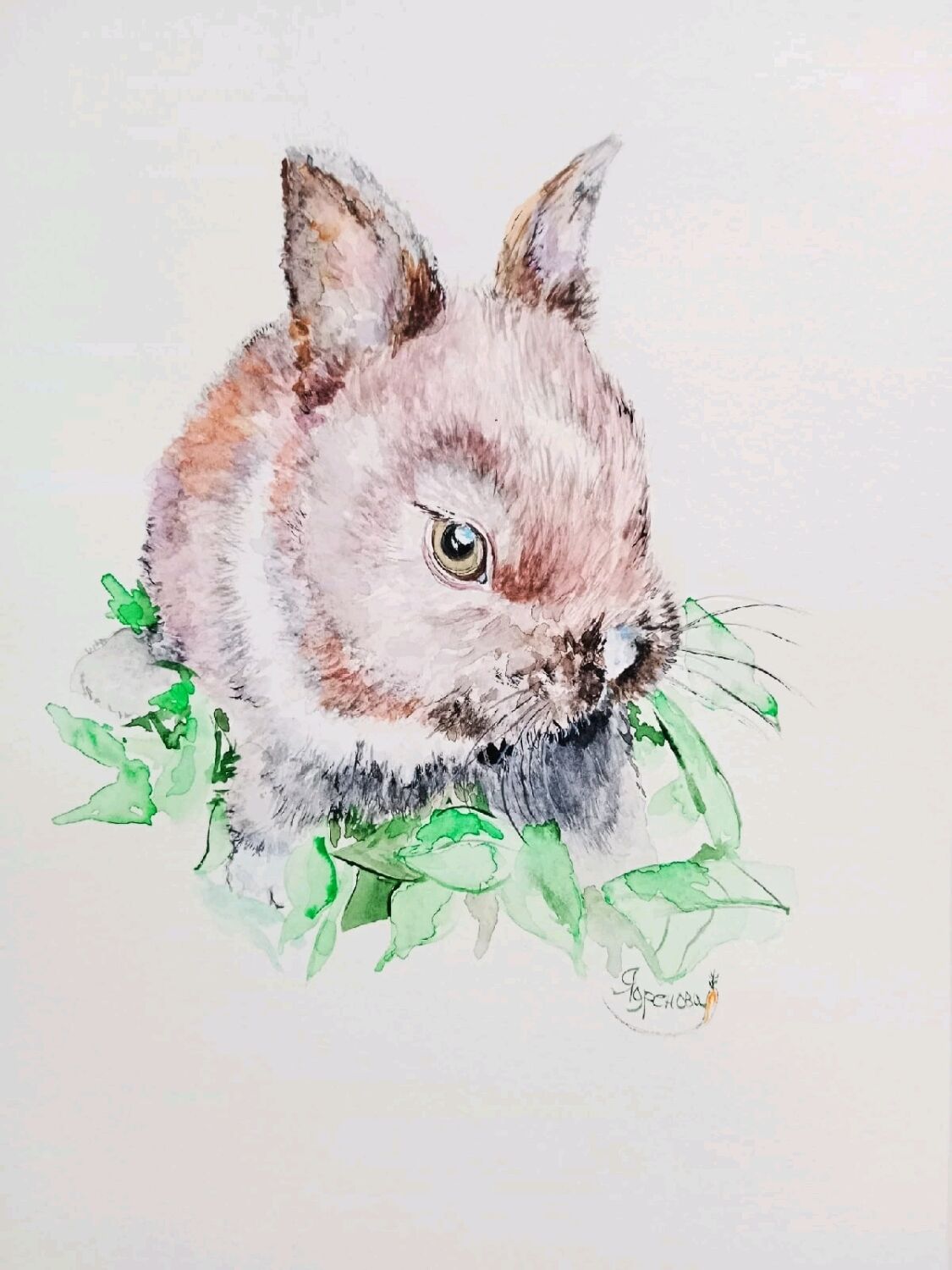 Кролик акварелью