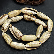 Материалы для творчества handmade. Livemaster - original item Beads of the shell of the predatory snail Olive-widow 25h11mm. Handmade.