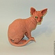 Sphinx cat'Ramses the second'(repeats do not). Stuffed Toys. Anna Petinati- Live toys handmade. My Livemaster. Фото №5