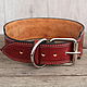 Leather dog collar 'Celtic'. Dog - Collars. Narmo leather workshop.. Online shopping on My Livemaster.  Фото №2