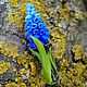 Brooch Muscari, Brooches, Rostov-on-Don,  Фото №1