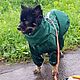 Непромокаемый дождевик .С нахвостником и капюшоном. На среднюю собачку. Одежда для питомцев. Зооателье 'Веселый хвост'. Ярмарка Мастеров.  Фото №5