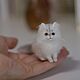 Белый пушистый котик, миниатюра из шерсти, Войлочная игрушка, Правдинск,  Фото №1