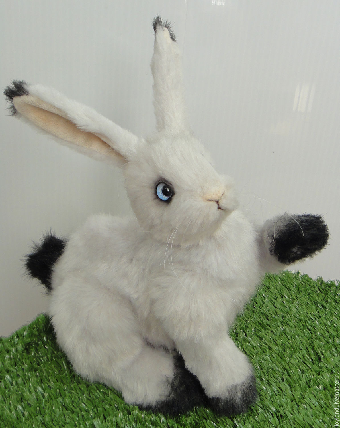 заяц в деле. заяц в деле. заяц в китае. все зайцы козлы. дратути заяц в пальто с надписью.