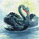Painting watercolor Swan fidelity, Pictures, Ekaterinburg,  Фото №1