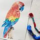 Painting watercolor 'Parrot', Pictures, Kansk,  Фото №1