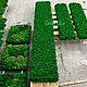 Полоса из стабилизированного мха 210*40см. Стабилизированный мох. Green.Box. Интернет-магазин Ярмарка Мастеров.  Фото №2