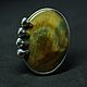 Ring with tiger eye 'Africa', silver, Rings, Moscow,  Фото №1