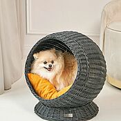 Duo of furniture for animals 