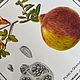 Винтаж: Панно плитка Botanica 3 шт. на ленте 73 см. Предметы интерьера винтажные. сКЛАДъ 2. Ярмарка Мастеров.  Фото №7