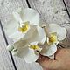 Hairpins Orchid in the bride's hairstyle Wedding decoration Cold porcelain, Hairpin, Tolyatti,  Фото №1