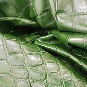 Материалы для творчества handmade. Livemaster - original item Crocodile skin, in green, clothing dressing.. Handmade.