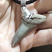 Украшения handmade. Livemaster - original item Pendant with a fossilized shark tooth. Handmade.