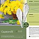 Weiner and cutter Leaf dandelion, Cutters, Kurgan,  Фото №1