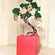  money tree. Bonsai. vkus-detstva (vkus-detstva). Online shopping on My Livemaster.  Фото №2