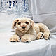Labrador puppy, Stuffed Toys, Moscow,  Фото №1