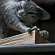 Figure 'Vaska the CAT', a papier-mache grey cat figurine. Figurines. Revkova Tatiana (figurki-sculpt). My Livemaster. Фото №5