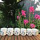 Vintage cups Botanica Garden, Doverstone, England, Vintage interior, Arnhem,  Фото №1