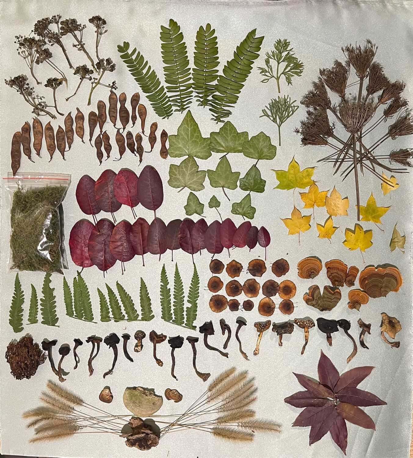 природный материал для детей. шишки желуди орехи. природный материал для поделок. 5 натуральных материалов. природный материал.