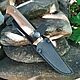 Knife 'Asp' Zlatoust. Gifts for hunters and fishers. wow-zlat-gifts (wow-zlat-gifts). My Livemaster. Фото №4