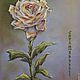 Pastel painting in the frame TEA ROSE of PROVENCE. Pictures. pictures & decor of TanyaSeptember. My Livemaster. Фото №4