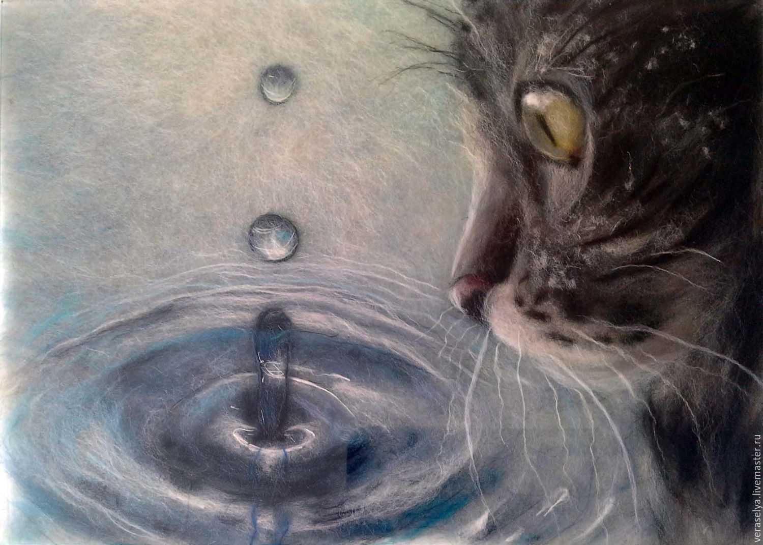 Кот на пляже. Сон кошка в воде. Сон кошка в воде. Мокрая кошка. Смешные котики в воде! подборка 2014.