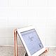 Stand for tablet or laptop iPad, MAC book-AL-006, Suspension, Moscow,  Фото №1