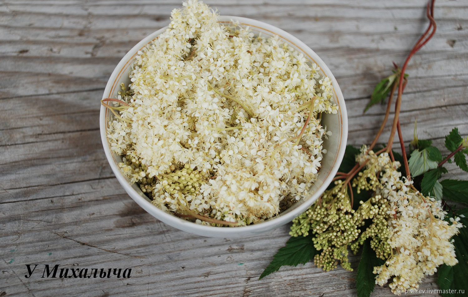 Таволга (лабазник), цветы сушеные купить в интернет-магазине Ярмарка ...